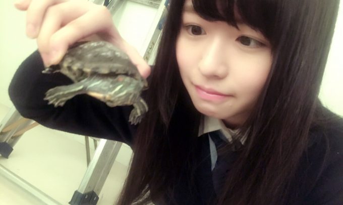 けやき坂46・長濱ねるの身長・体重は?
