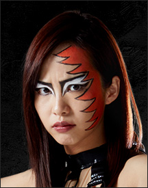 「豆腐プロレス」出演者一覧