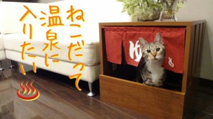 ねこトイレに革命を!温泉風ねこトイレカバープロジェクト!
