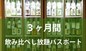 【Makuake限定30名様】3ヶ月間定額パスポート