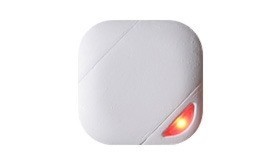 【早割!】Tomoru1個