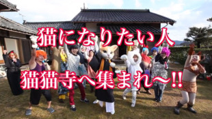 京都に猫好きが集う聖地を!招喜猫宗総本山 「猫猫寺」を建立しよう!!