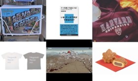 An assortment of all the above rewards!