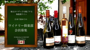 地元カナダっ子を魅了する無農薬ワイン 日本で初めてワイナリー俱楽部会員募集