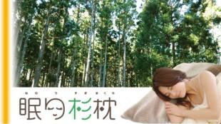割り箸から枕!?優しい感触と癒しの香り、育てて寝るのが楽しみな「眠り杉枕」