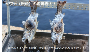 第2弾!「頭から丸かじりできる」希少なイワナの養殖PJ~卵の孵化から稚魚育成~