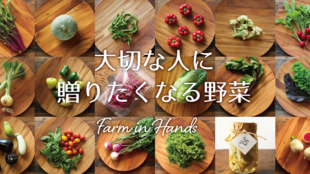 Farm in Handsのギフトセットを生み出す無農薬野菜の加工所を作ります!