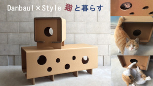 強化ダンボールの組立式家具で猫と楽しむ♪穴あきの猫マキベンチ&猫マキスツール
