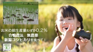 お米総生産量の0.2%しかない新潟の宝、合鴨農法の新潟コシヒカリを食べて!