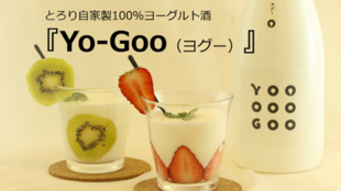 蔵元自家製!優しい甘みと酸味!とろ~り100%ヨーグルト酒Yo-Goo(ヨグー)