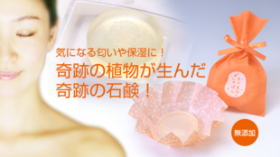 奇跡の植物なた豆からできた無添加石鹸「さつまめしゃぼん」