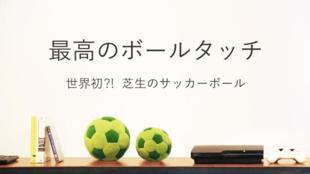世界初?!サッカーボールが芝生になった!ガジェット緑化のシバフルから新発売!