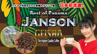 世界を魅了!パナマで再発見された香り高い新種豆 「GEISHA」珈琲をご家庭で♪