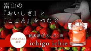富山の『おいしさ』と『こころ』を!県産・苺と酒米酒で作った和リキュールいちご酒