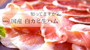 肉の旨味最上級。無添加『国産白カビ生ハム』を多くの人へ!熟成庫を創りたい!!