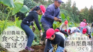 山田農場を食べよう!遊ぼう!みんなで集まれる『都市型農場』をつくろう!