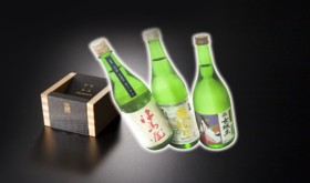 【限定10セット】 光枡1個+日本酒3本飲み比べセット ※年内発送