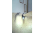 Size_90_image