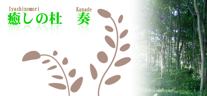 癒しの杜　奏