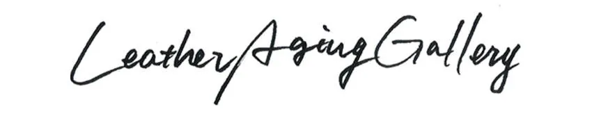 Leather Aging Gallery