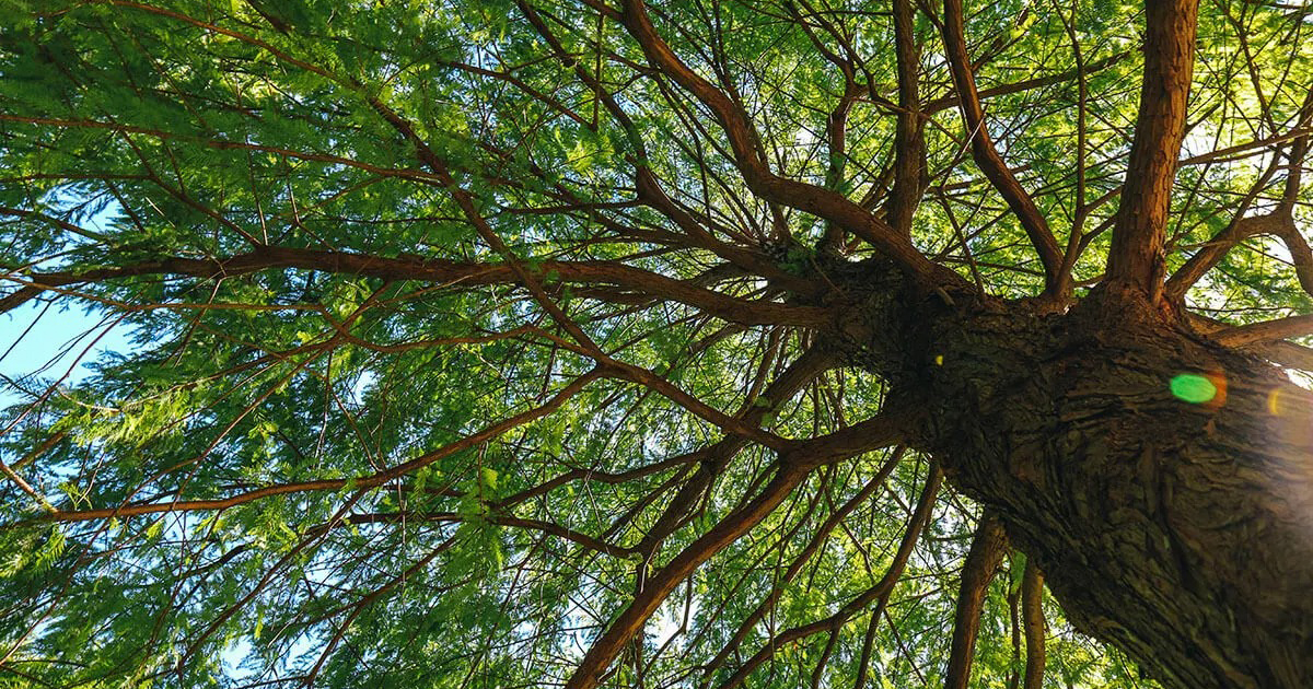 保存歲月的地方:台北中山區歷史風景