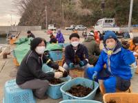 4月７日～９日南三陸ワカメ収穫応援、メカブ削ぎ漁業体験ボランティアツアーのお知らせ