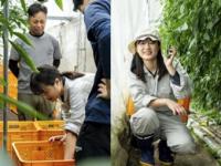 【夏休み】宮崎県川南町で農業ボランティアして、「地域の今」を見つめよう！