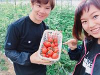  【春休み】奄美大島の北部地域で、有機農業に関わるボランティア！