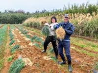 【春休み】ダイナミックな活火山の島、日本最後の秘境「中之島」で農業しよう！