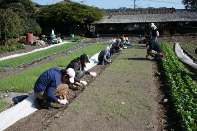 １１月２９日(土)日帰り農園ボランティア募集！