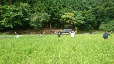 お米ってどうやって作るの？？今年最後のお米づくりボランティア＆里山...