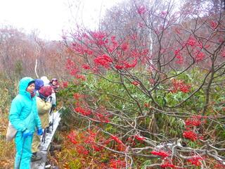 白神山地　森林の楽校２０１７