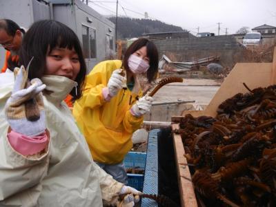 宮城の漁師があなたの助けを待っている