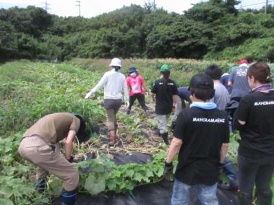 9月2日(土)日帰り援農ボランティア募集！