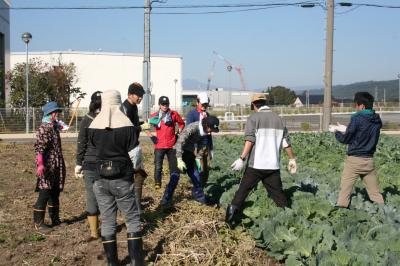 １２月２０日(土)日帰り農園ボランティア大募集！