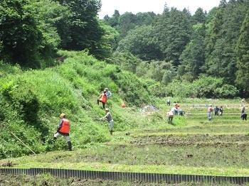 【７月】週末3時間の緑のボランティア★おひとりでもご家族でも★