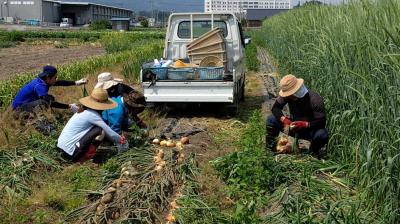６月１８日(土)日帰り農園ボランティア募集！