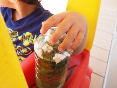 こどもに関わるみなさんに知って欲しい思春期のこと「子ども達の発するS...