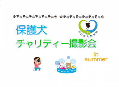 保護犬チャリティー撮影会