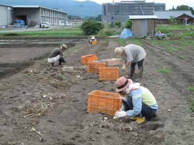 ７月１８日(土)の日帰り農園ボランティア募集！