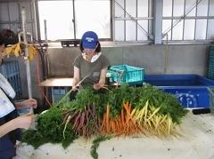 6月25日(土)日帰り援農ボランティア募集！
