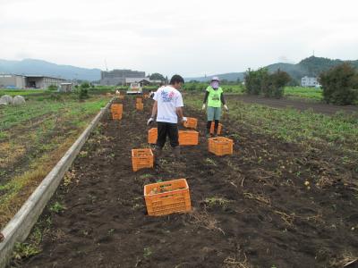 夏の日帰り農園ボランティア募集！８月２２日(土)