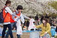 【お花見クリーンキャンペーン】ボランティア募集中！