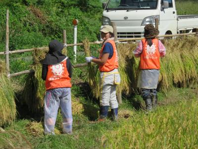 ボランティアバス被災地区農家で稲刈り