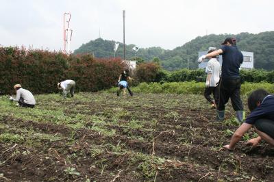 ８月３０日(土)日帰り農園ボランティア募集！