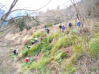 神の泉　森林の楽校２０１６春 