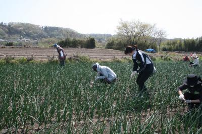 ５月１６日(土)帰り農園ボランティア募集！