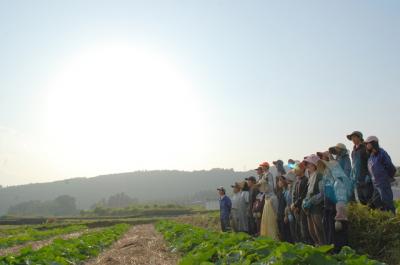 自給自足の100人家族が「農」を語る〜世界初・天然循環法の畑