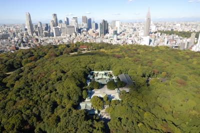 原宿で田んぼ、どんぐり緑化、国際活動をしています！◆◆◆ＮＰＯ法人響 ...