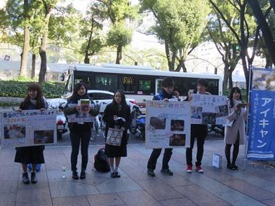 「路上の子どもたちを応援する街頭募金」ボランティアさん大募集！